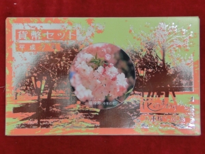 1995　花のまわりみち  貨幣セット (平成7年)