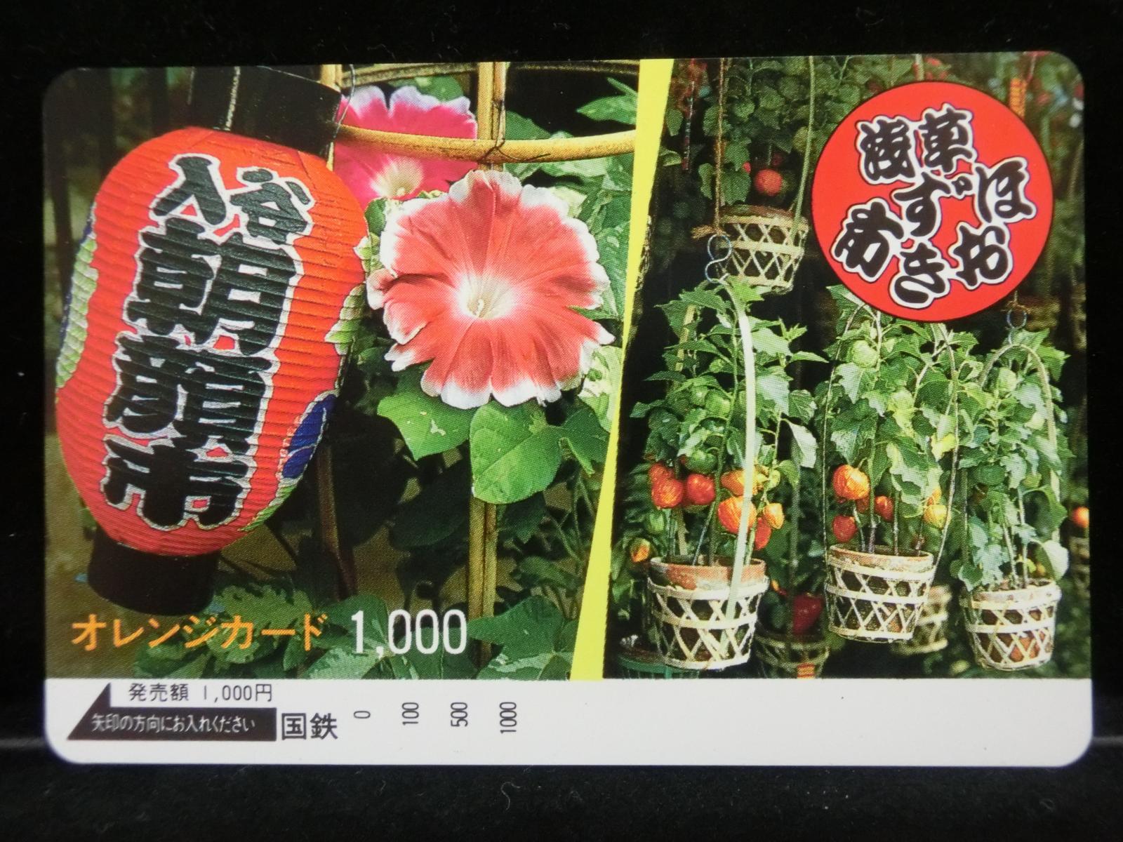 1000011637
