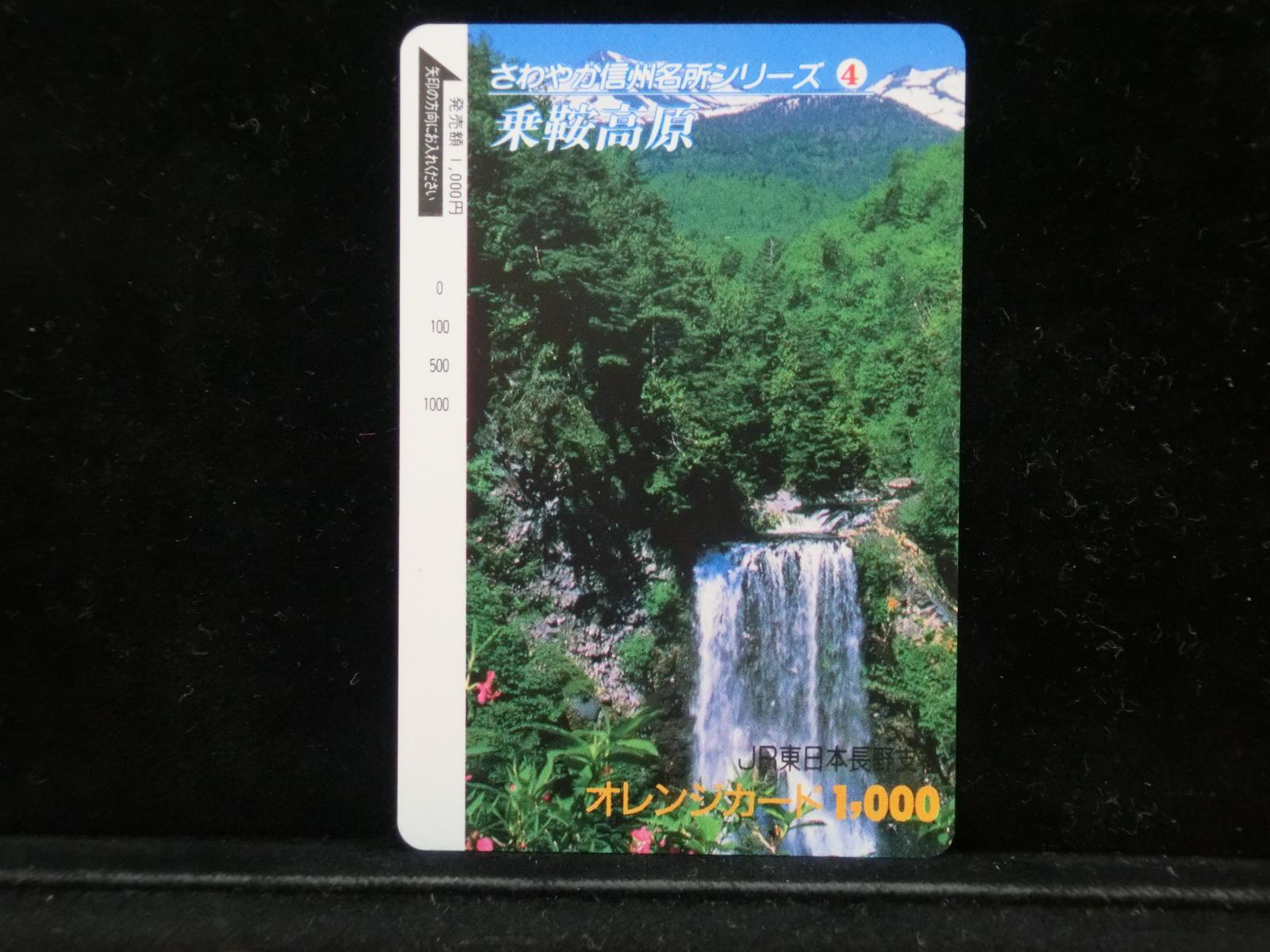 1000011812