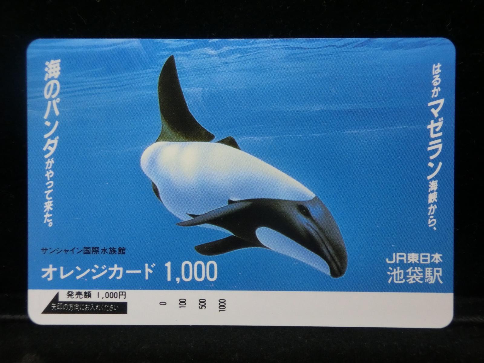 1000011928