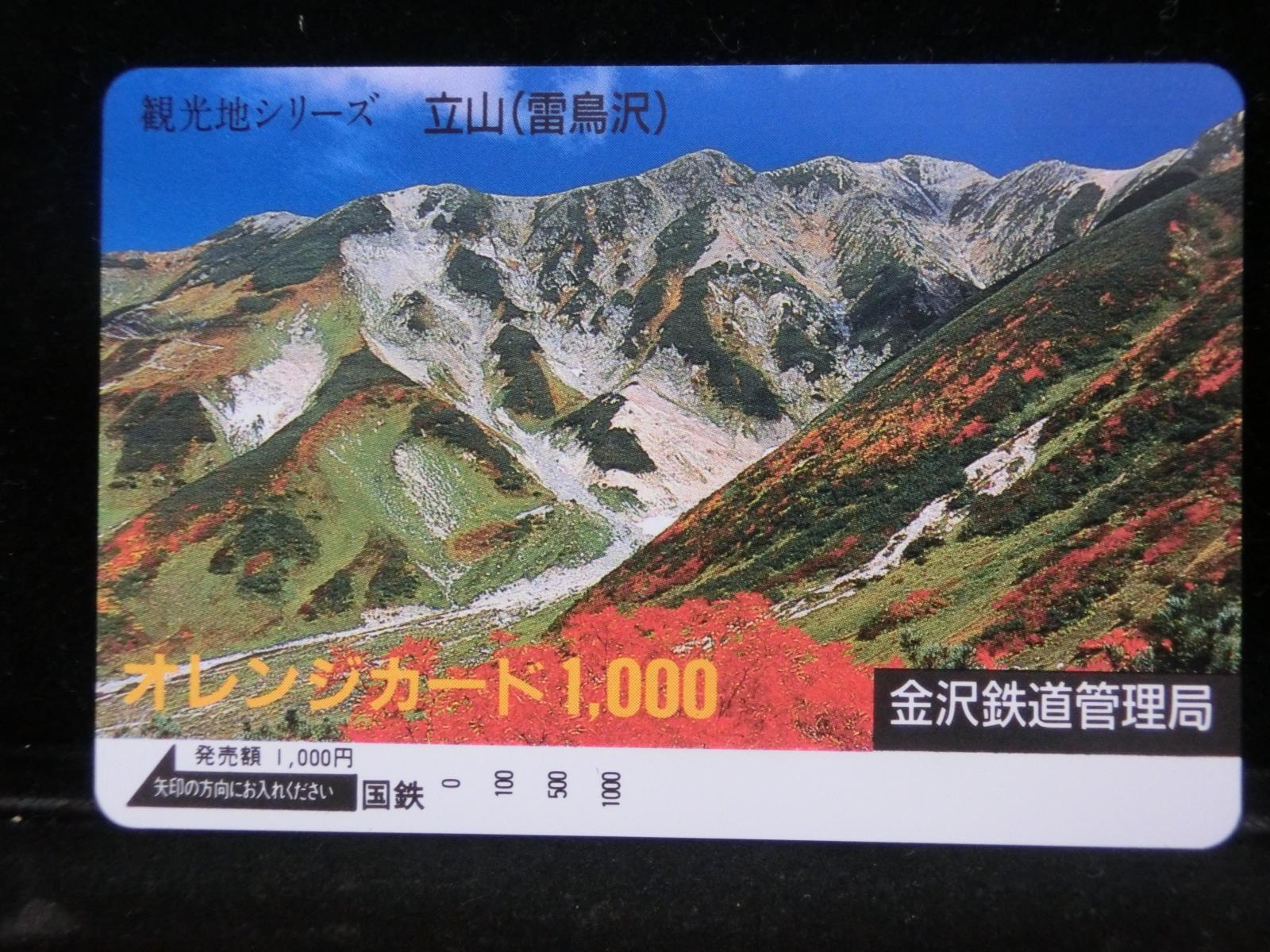 1000012049