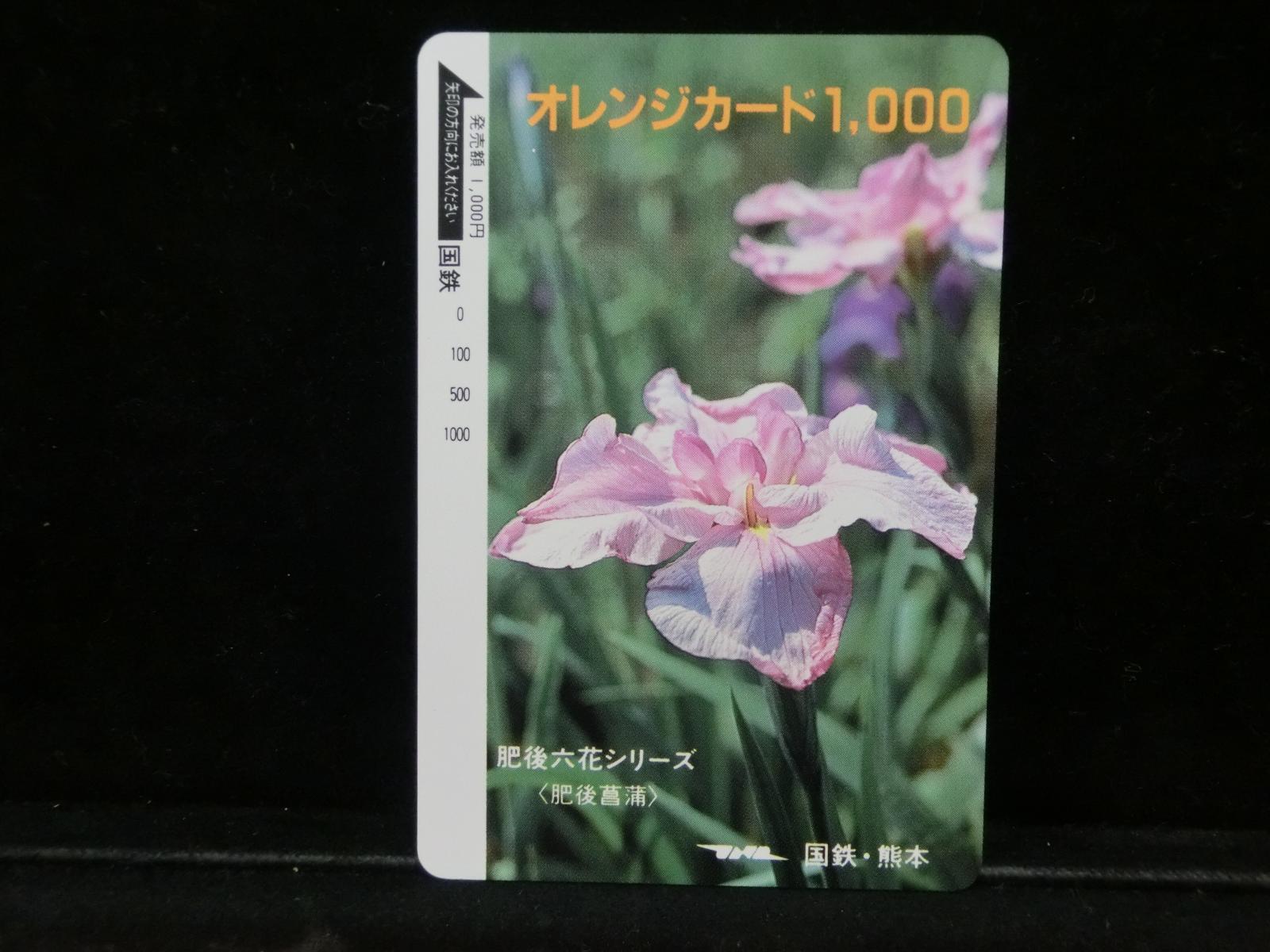 1000012151