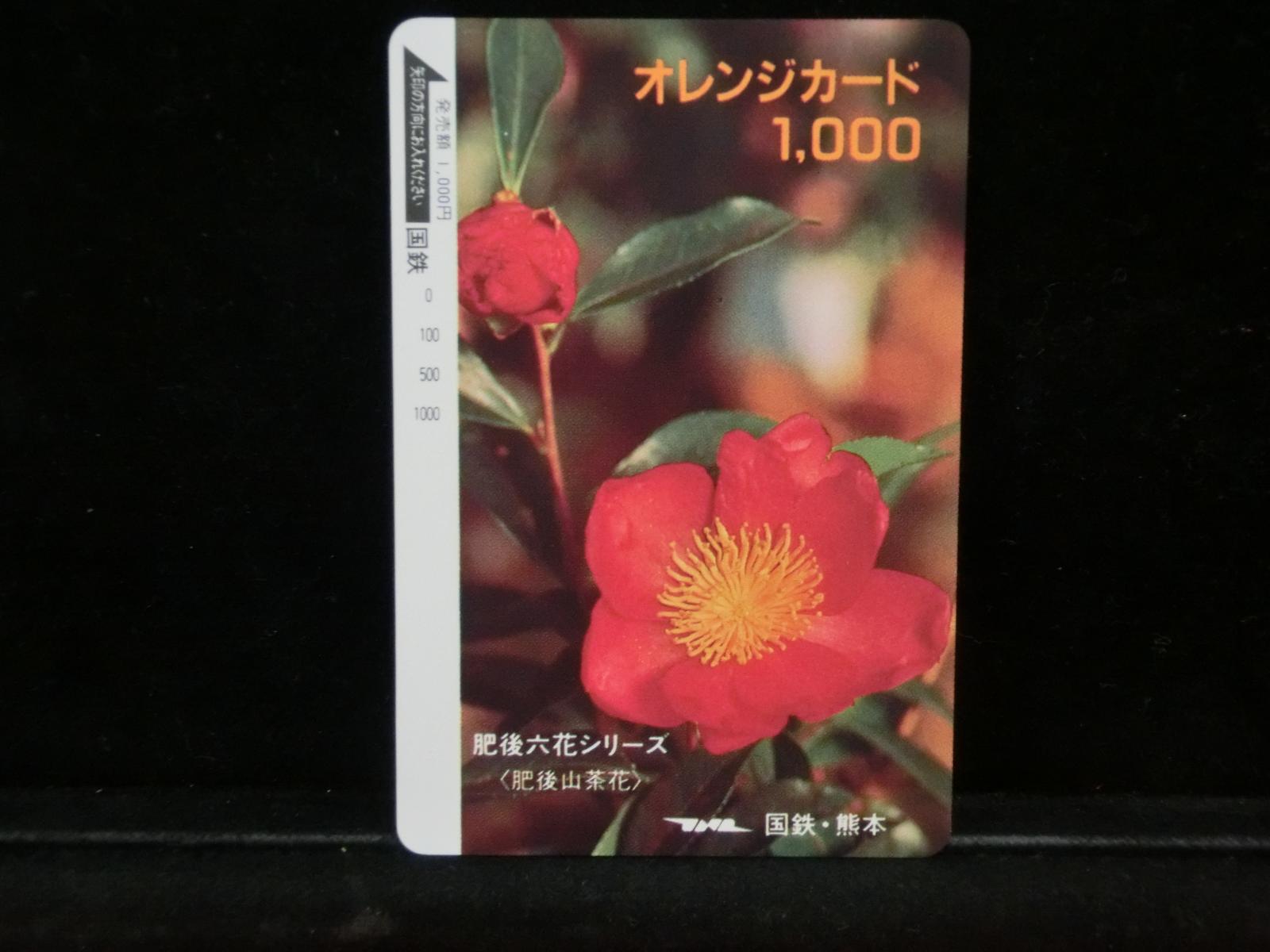 1000012154