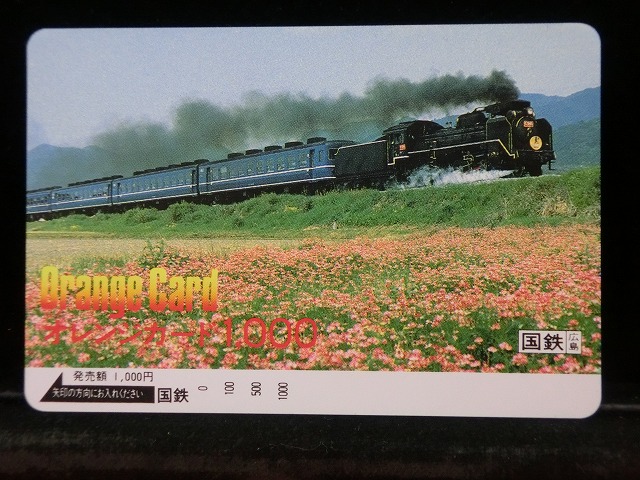 1000012536