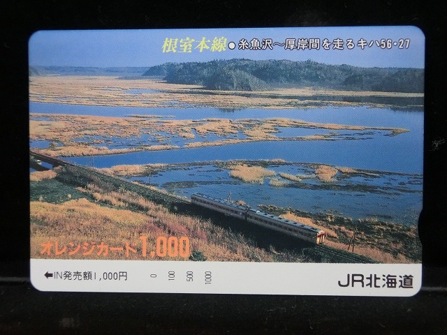 1000012796