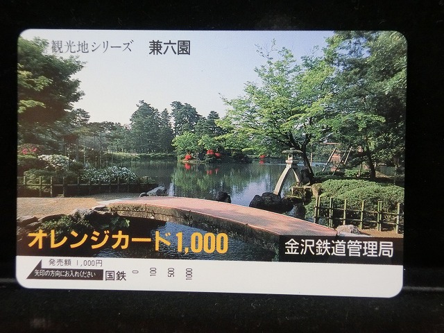 1000012815