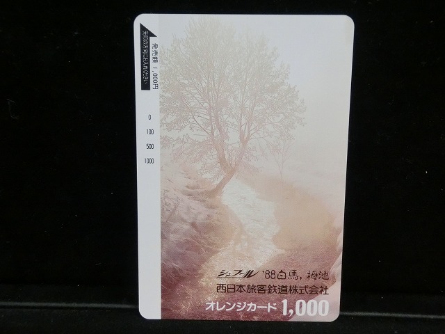 1000012937