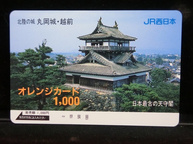 1000012993