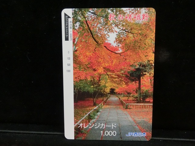 1000012994