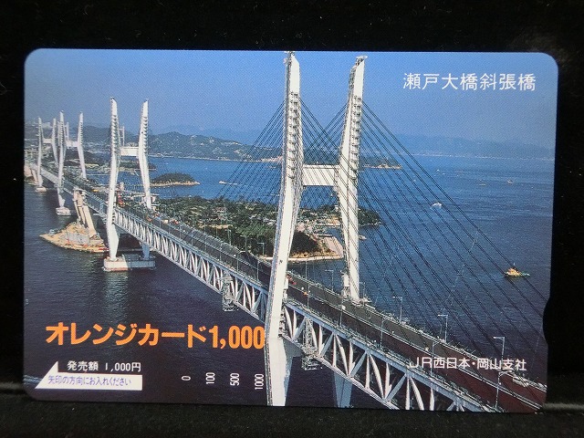 1000012995
