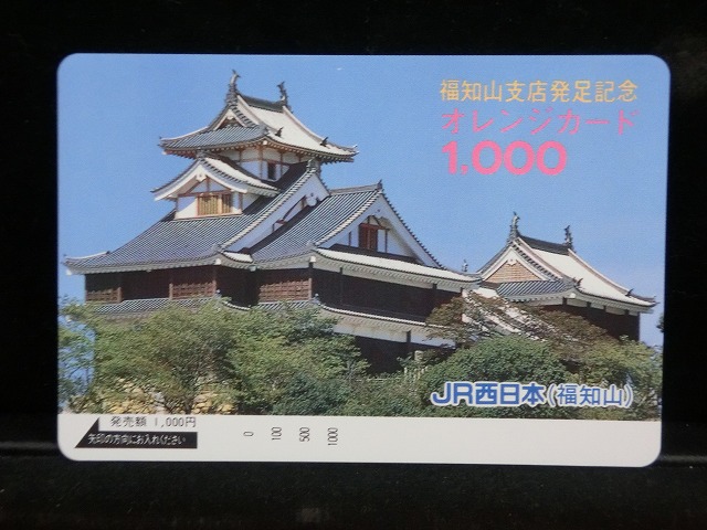 1000013019
