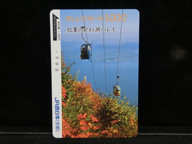 1000013021