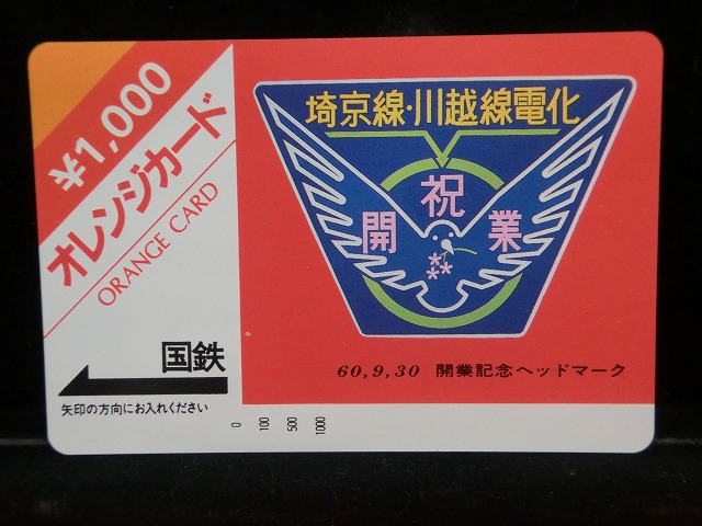 1000013060