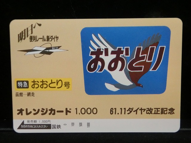 1000013081