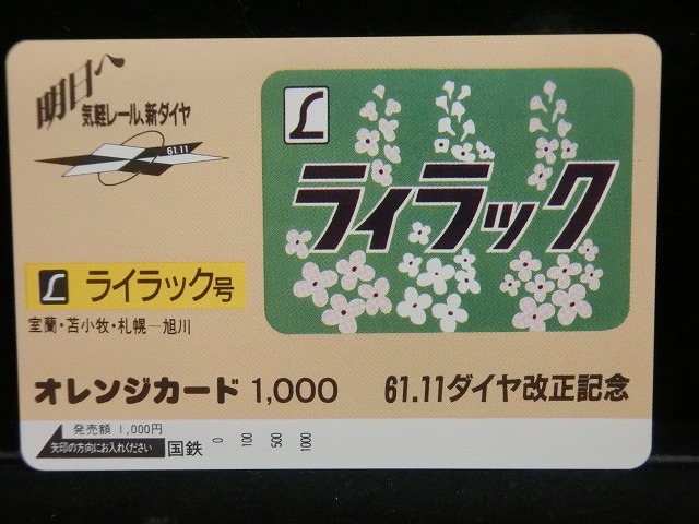 1000013095