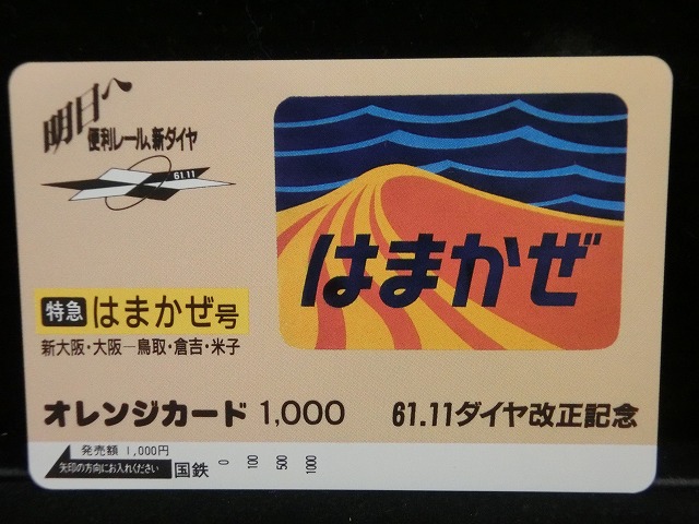 1000013096