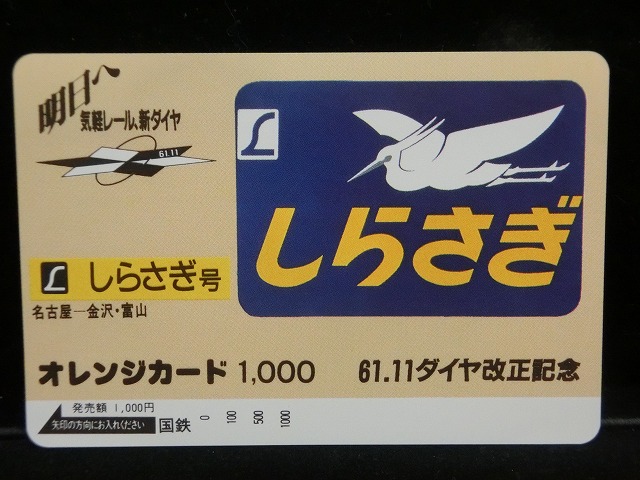 1000013101