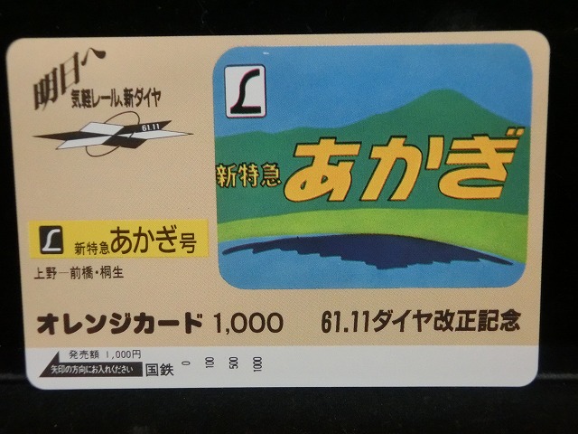 1000013102
