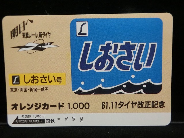 1000013105