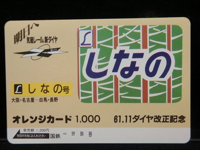 1000013118