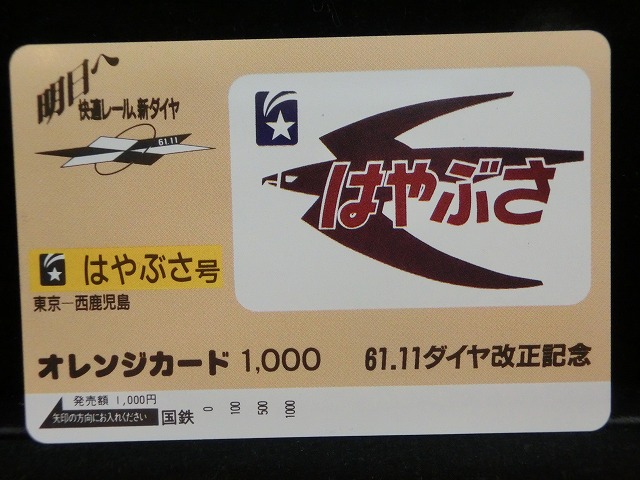 1000013136