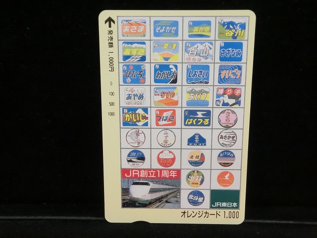 1000013161