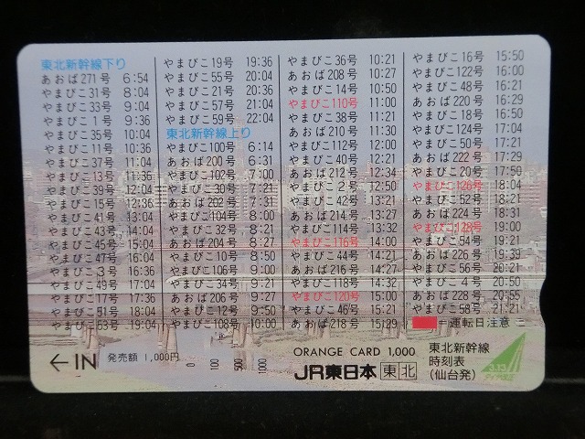 1000013163