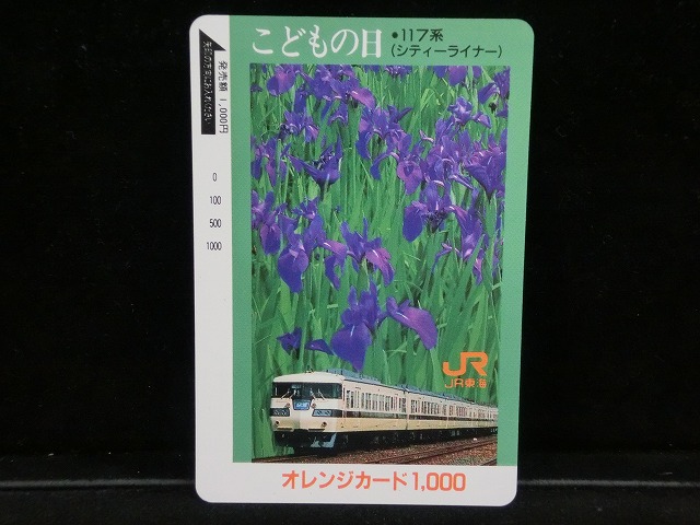 1000013177