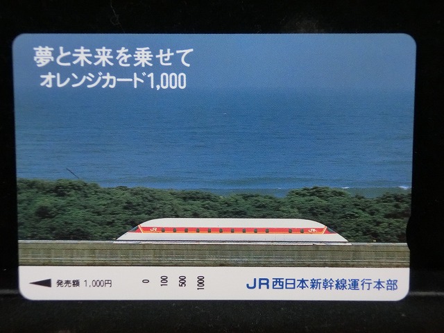 1000013211