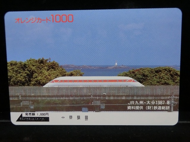 1000013245