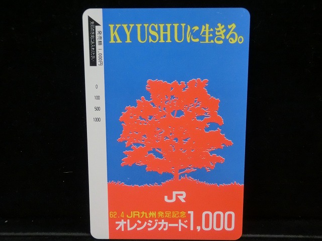 1000013256