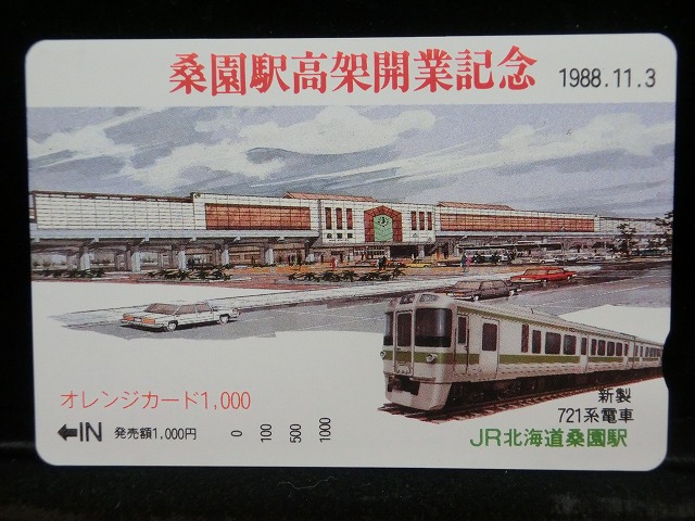 1000013294