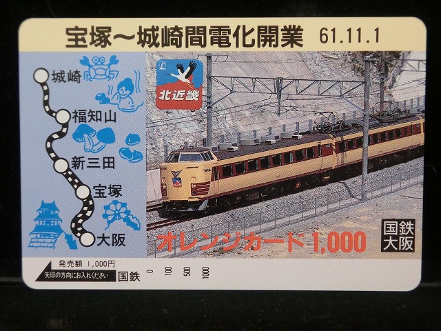 1000013393