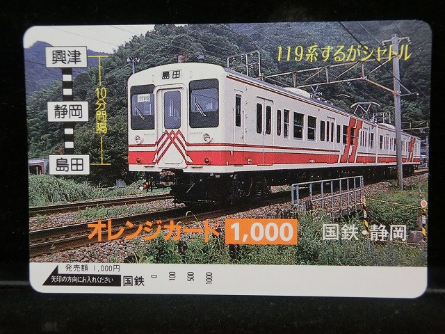 1000013419
