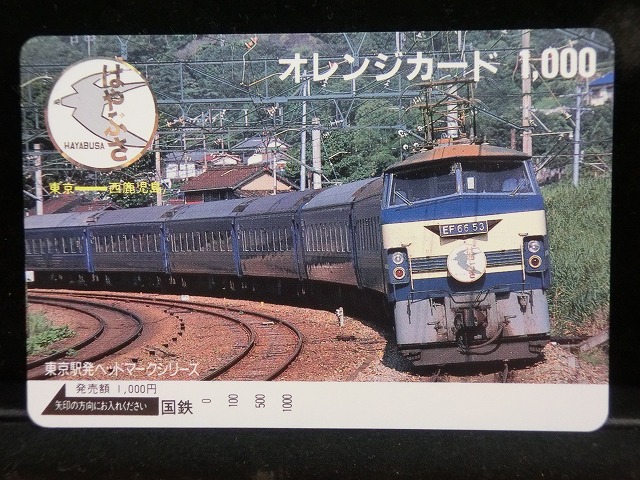 1000013446