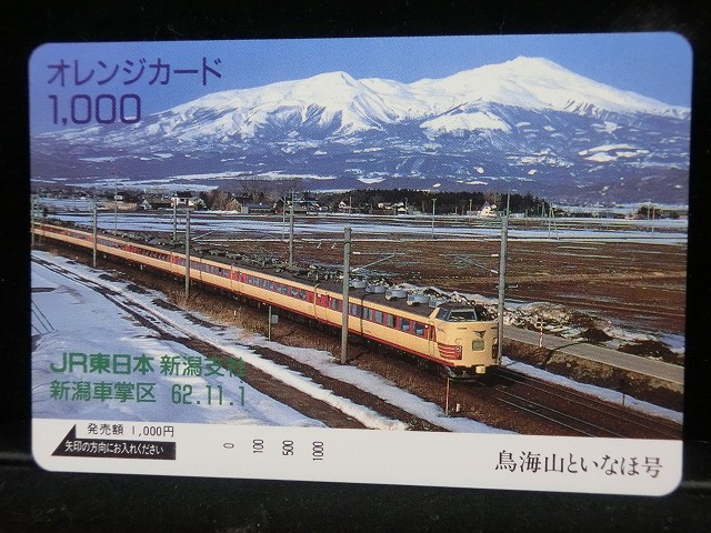 1000013494
