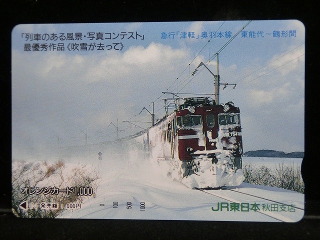 1000013531