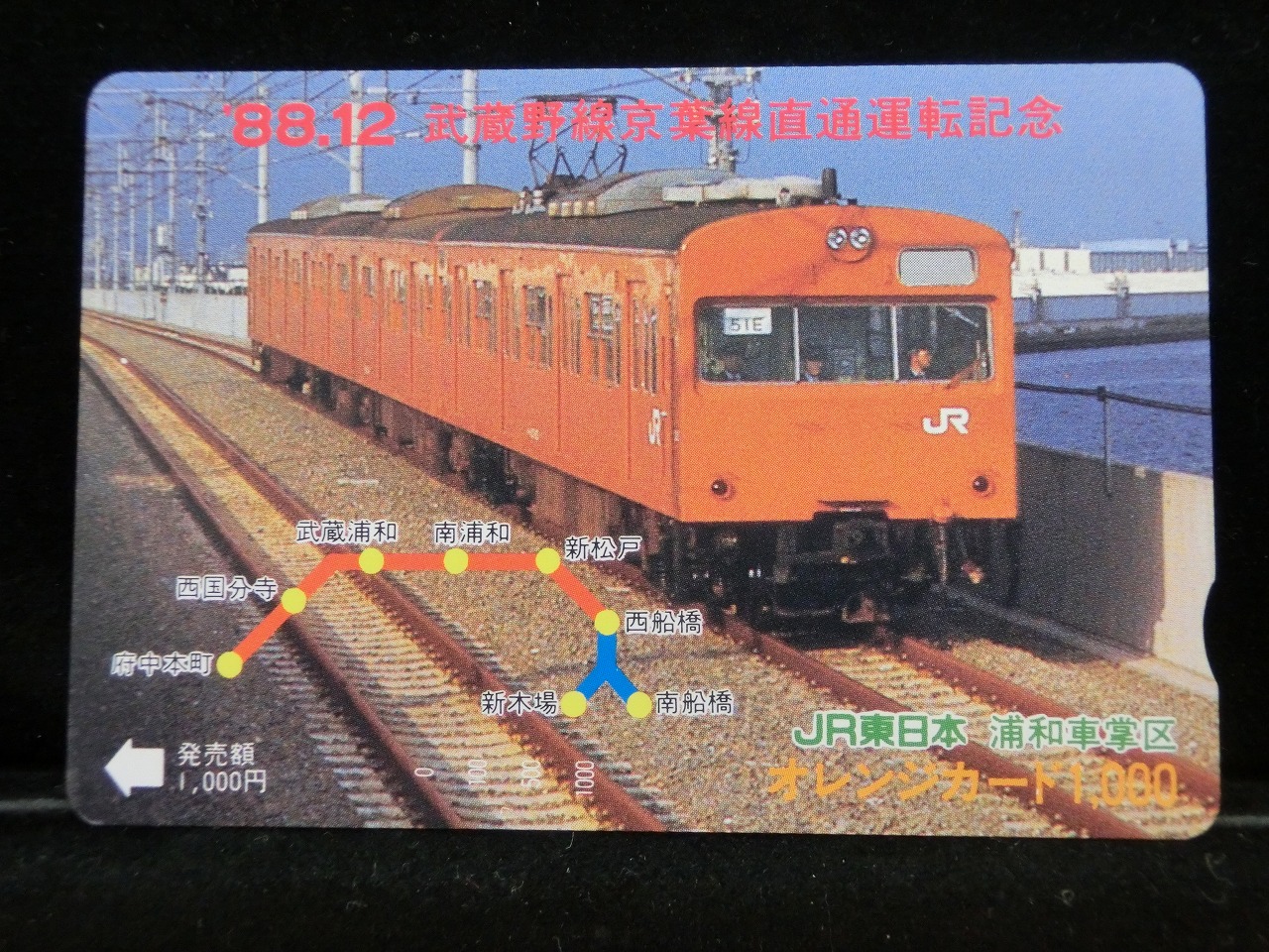 1000013597