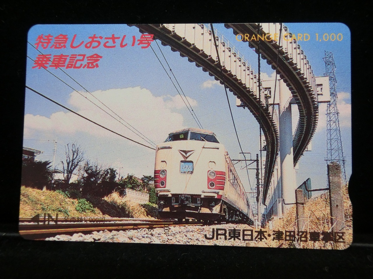 1000013602