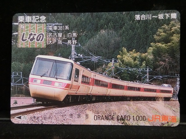 1000013619