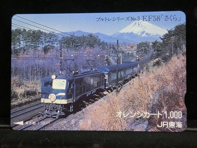 1000013664