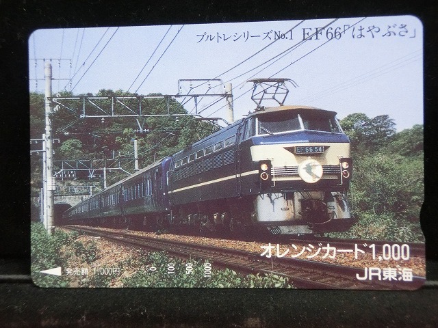 1000013667