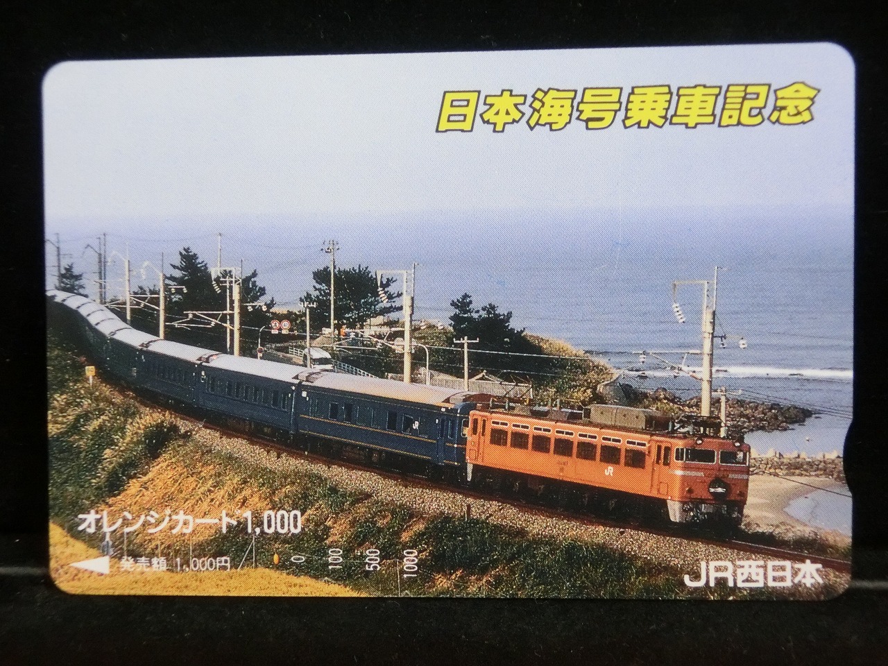 1000013923
