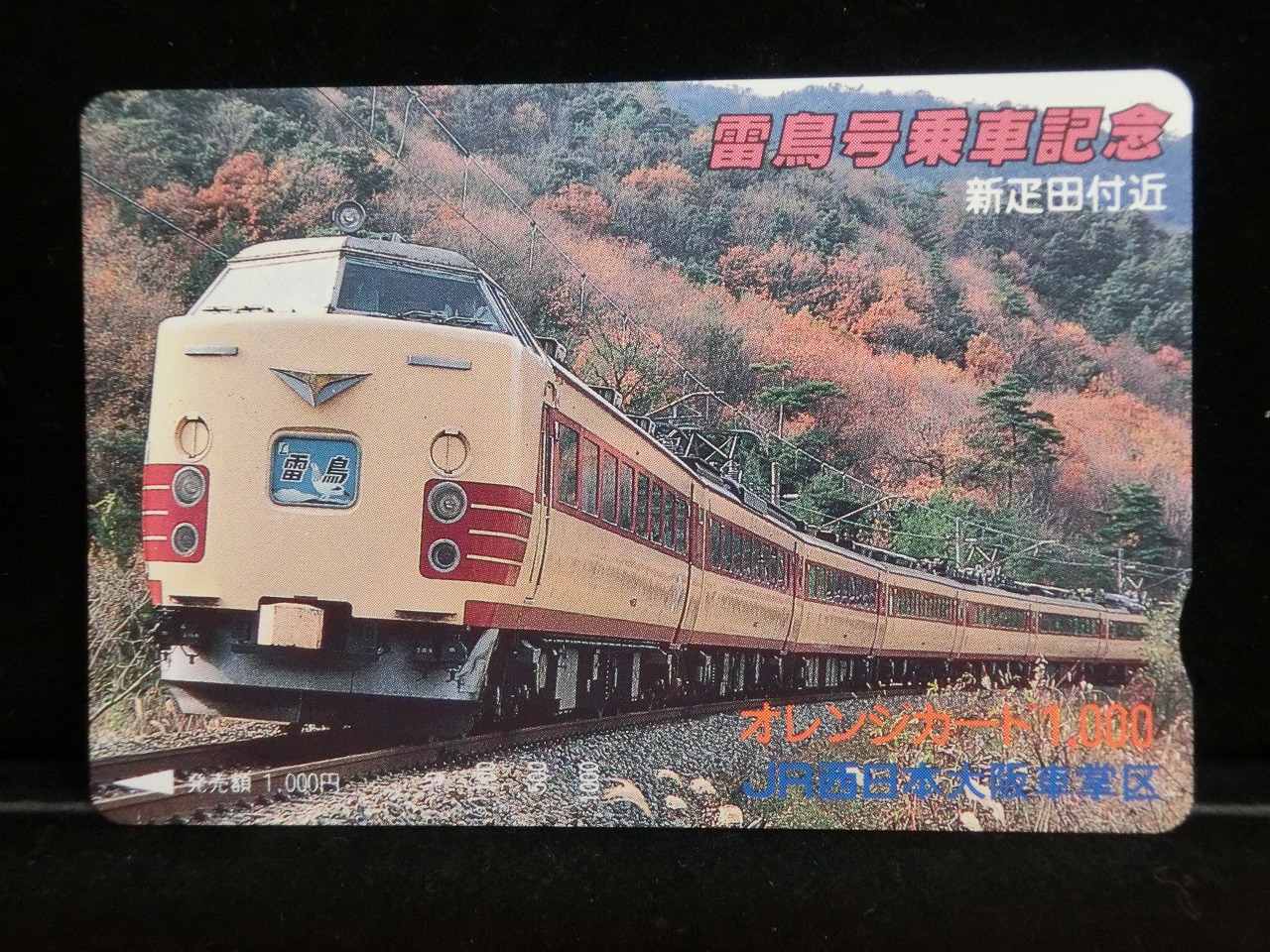 1000013955