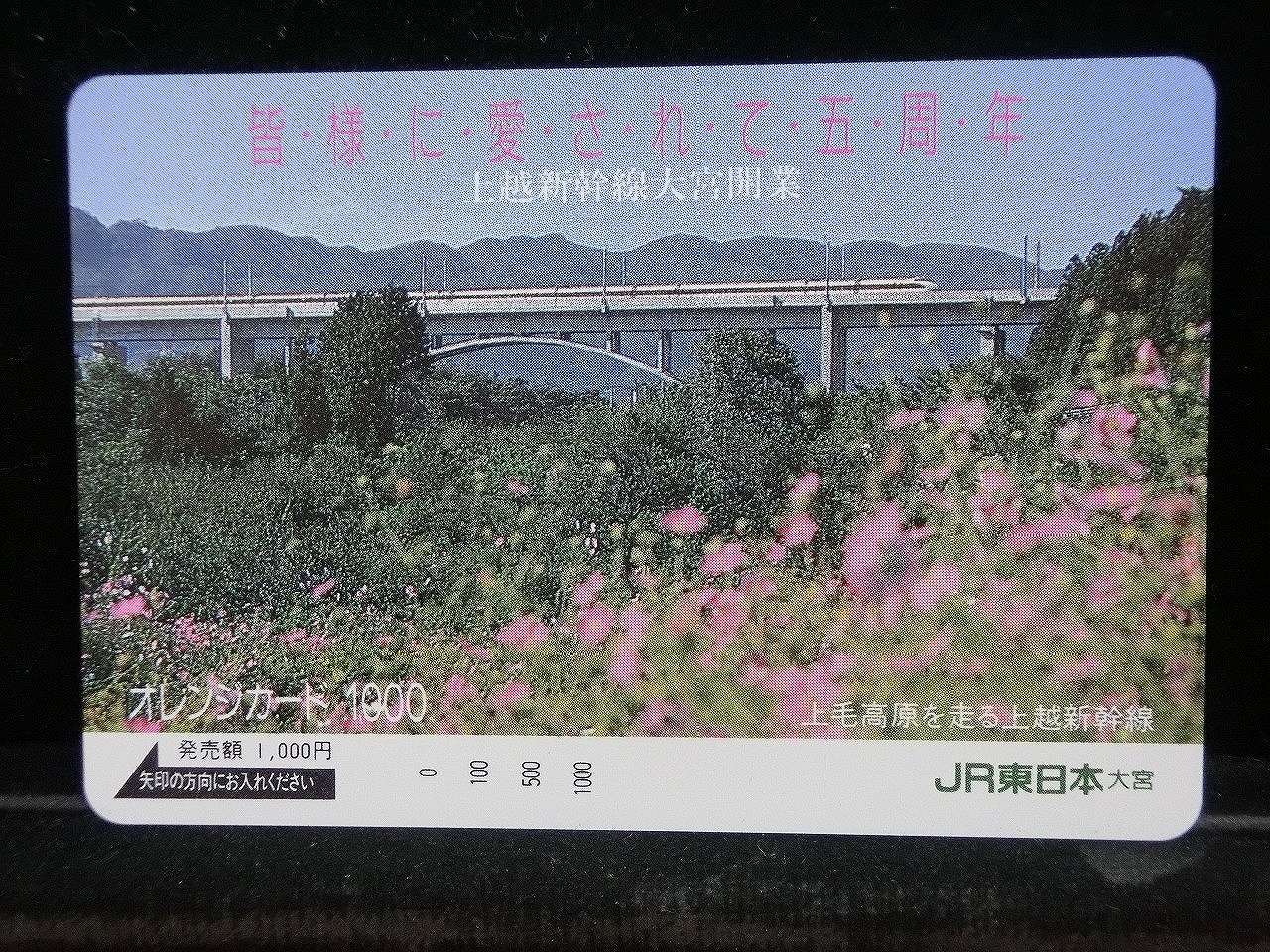 1000014133