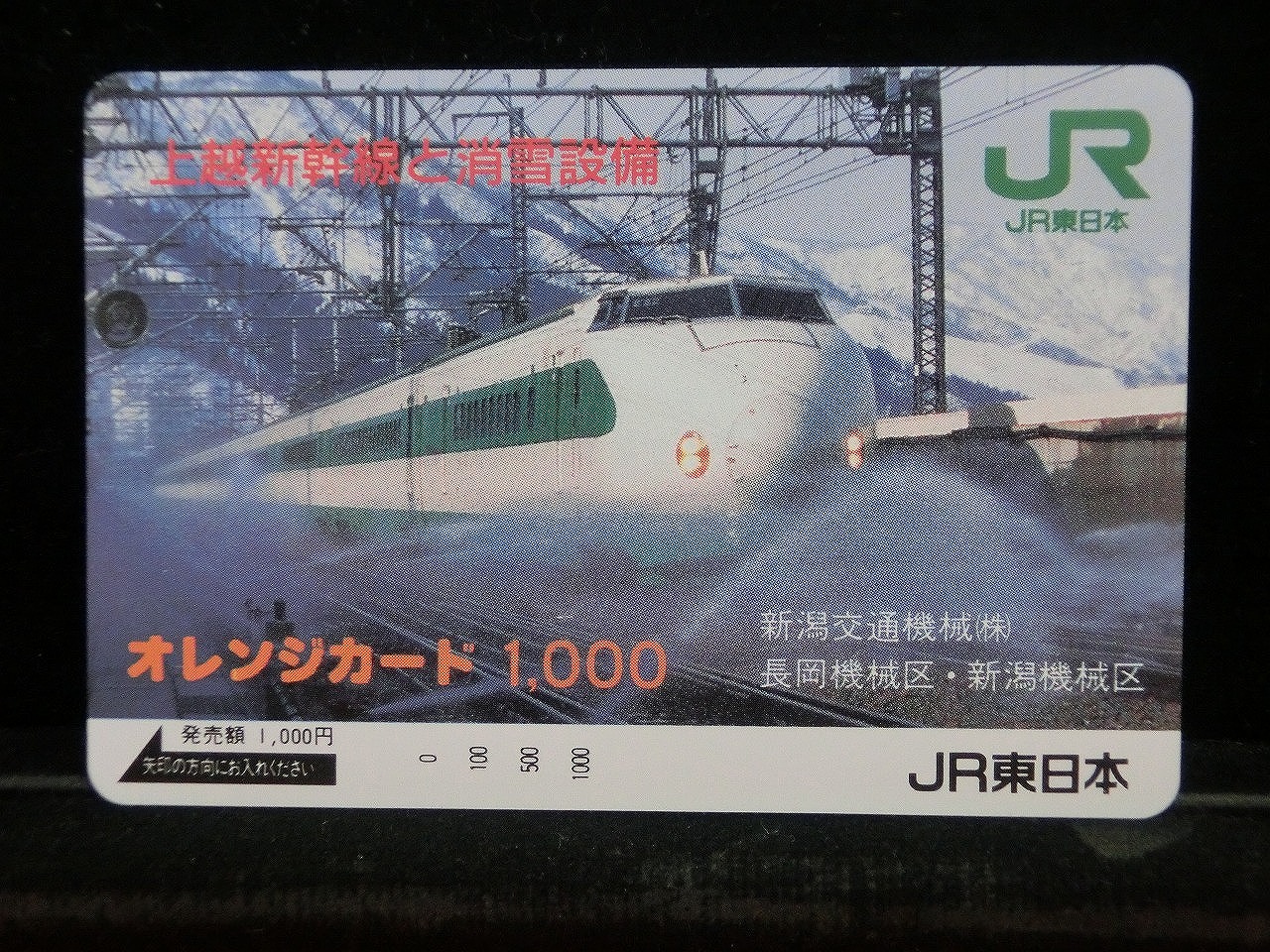 1000014134