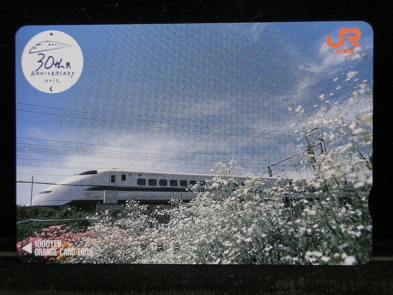 1000014163