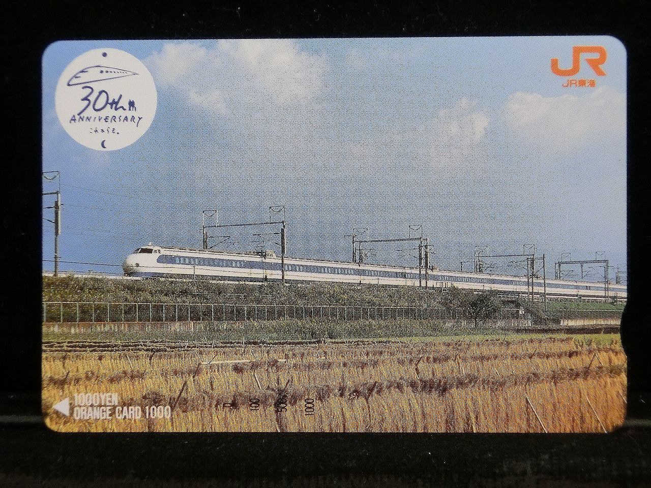 1000014167
